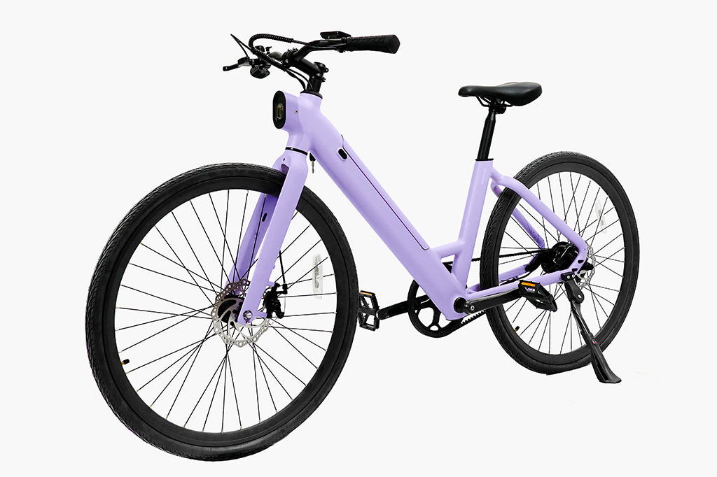 FD FDS1S Step-thru City Electric Bike
